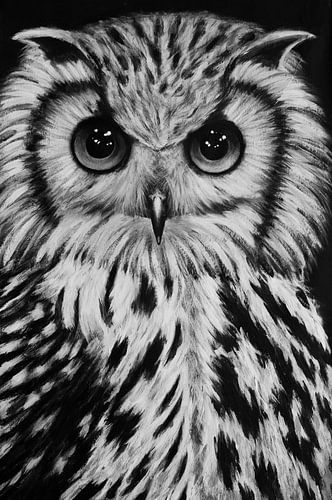 Hibou
