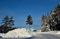 Winter weg