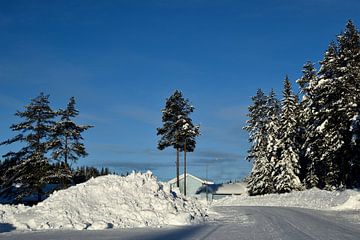 Winter weg van Christer Andersson