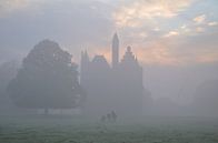 Kasteel Doornenburg en Lakenvelderrunderen in de mist van Joyce Derksen thumbnail