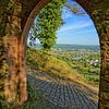 Amazing View van Gisela Scheffbuch