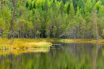 Meer in Finland