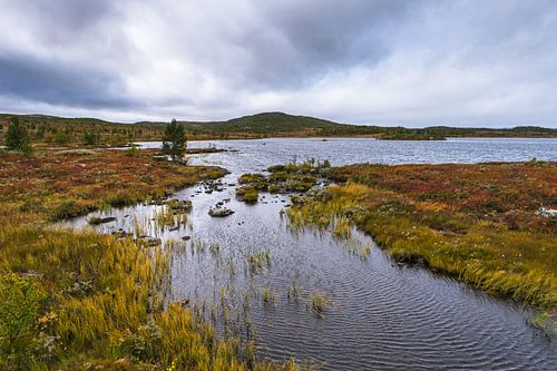 Dagalifjell Norvège