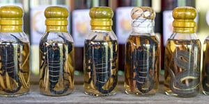 Pouvoir des serpents et esprit des scorpions - Un rituel du Laos