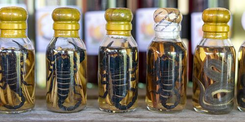 Pouvoir des serpents et esprit des scorpions - Un rituel du Laos