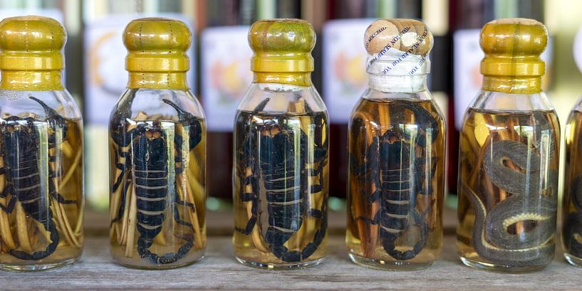 Snake power and scorpion spirit - a ritual from Laos by Walter G. Allgöwer