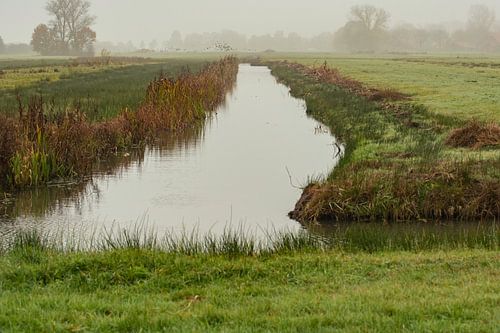 Herbstlandschaften Haar-Zuijlens, Utrecht