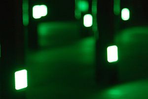GLOW 2011 - 6