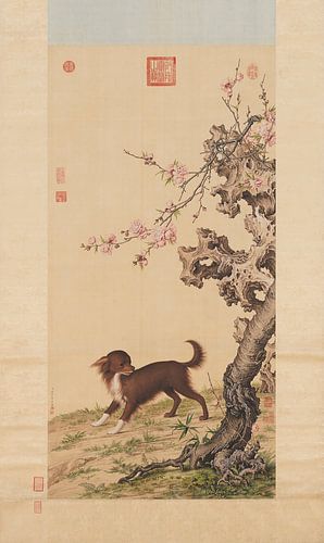 Hund zwischen Blumen, Giuseppe Castiglione