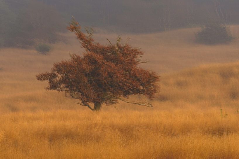 Nice red. by Jannie Looge