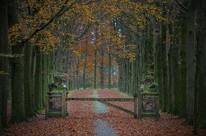 Prunkvoller Eingang zu einem romantischen Park im Herbst