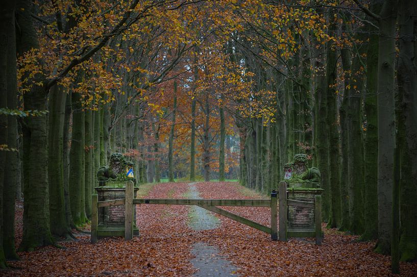 Statige entree van een romantisch park in de herfst van Patrick Verhoef