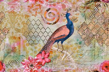 Peacock fantasies by Andrea Haase