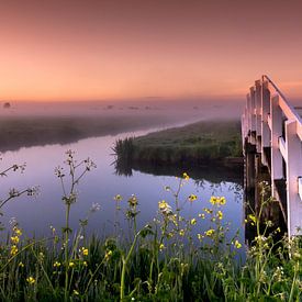 Nebliger Morgen im Polder von Rob IJlst