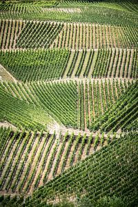 Lignes