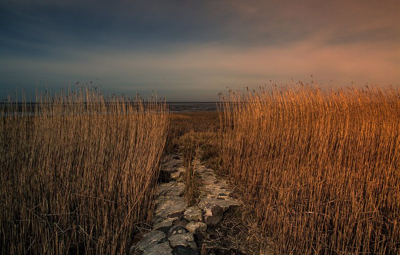 Vergezicht naar zee von Pureframed Photos
