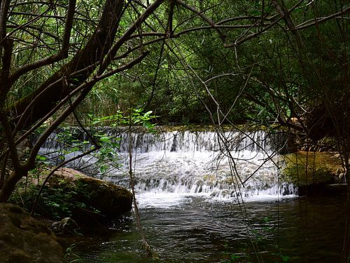 Whispers Of A Hidden Waterfall