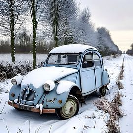 Citroën 2CV von Tammo Tamminga