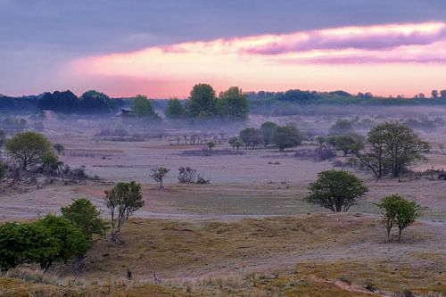 Amsterdamse Waterleiding Duinen
