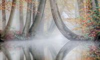 Automne et brume dans un paysage magnifique ( twickel ) par Dirk jan Duits Aperçu
