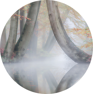 Herfst en mist in een prachtig landschap ( twickel ) van Dirk jan Duits
