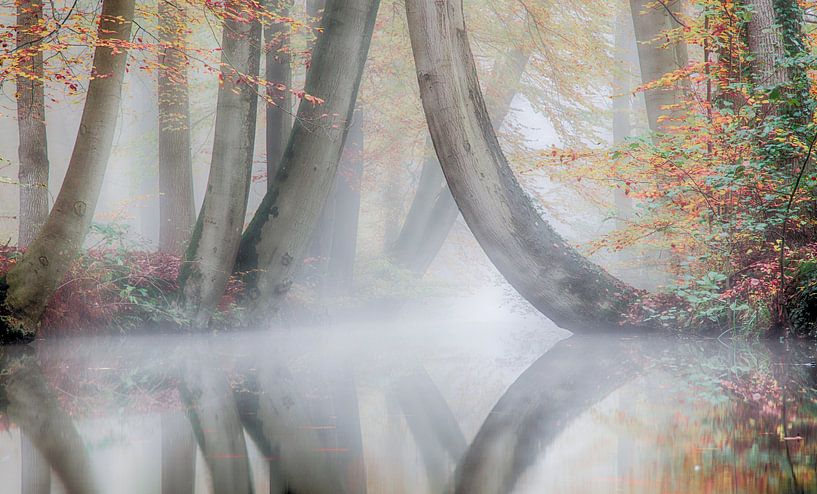 Automne et brume dans un paysage magnifique ( twickel ) par Dirk jan Duits