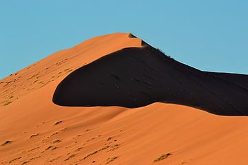 Sossusvlei / Namibië