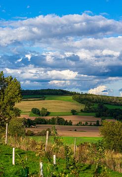 Bellenberg by Thorsten Wind