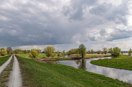 Biosphärenreservat Elbe-Brandenburg von Richard Wareham