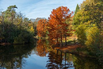 Autumn in the walking forest of Tilburg by Leo Kramp Fotografie