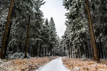 Prachtig winterlandschap op de hoogten van het Thüringer Wald van Oliver Hlavaty
