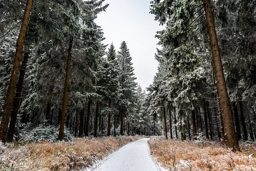 Beautiful winter landscape on the heights of the Thuringian Forest by Oliver Hlavaty