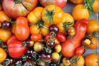 Stilleven met tomaten van Karina Gebert thumbnail