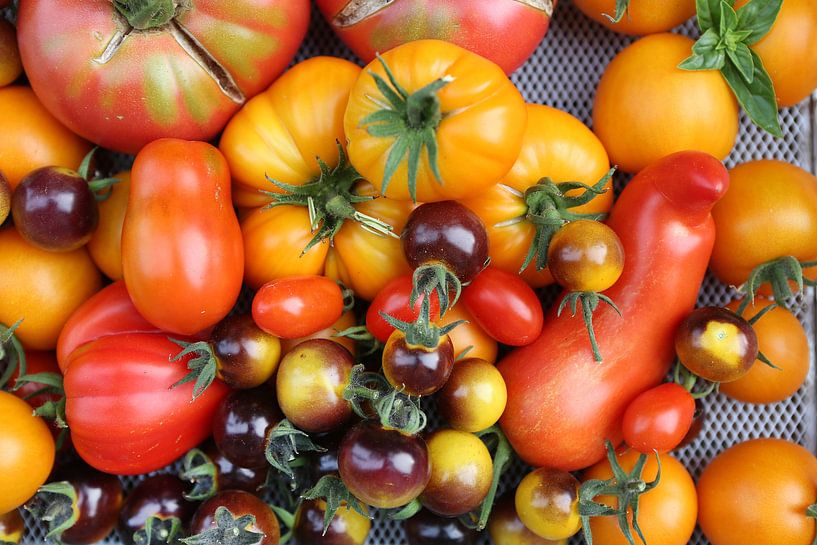 Stilleven met tomaten van Karina Gebert
