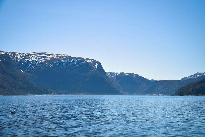 Western Cape in Norway. Fjord and sea with mountains on the coast by Martin Köbsch