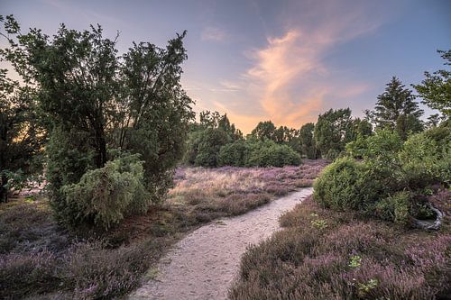 Durch die Heide