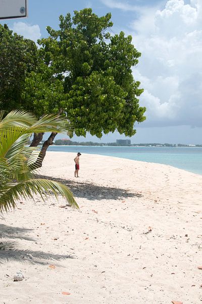 Cayman Islands by Carmen Lieven