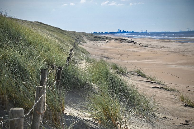 At the foot of the dunes by Peter van Rijn