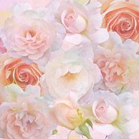 Rozen droom