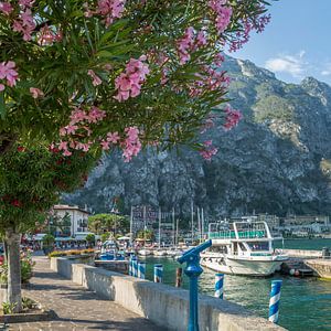 LAC DE GARDE Port & promenade à Limone sul Garda  sur Melanie Viola
