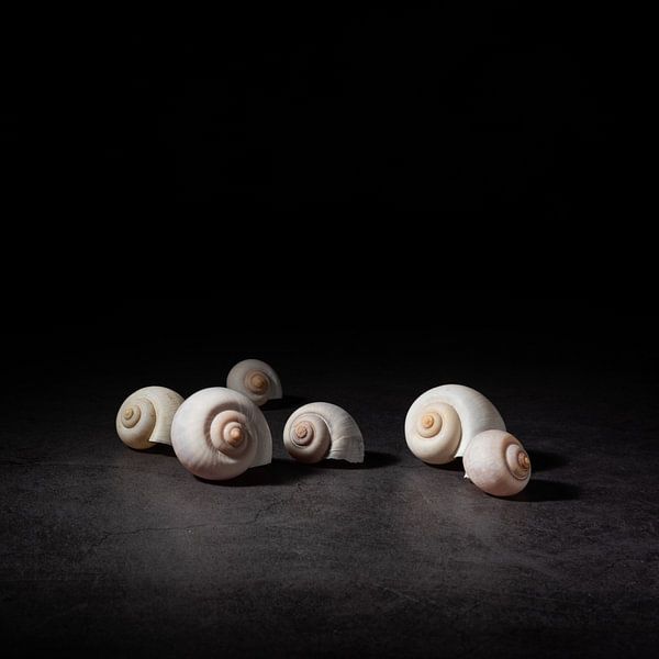 Stilleben, Sweet Petit Muscheln von Oda Slofstra