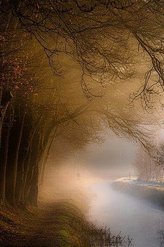 Misty morning. Mysterious atmosphere created by the beautiful light combined with a hint of fog.