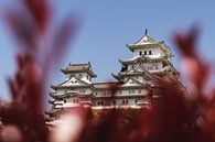 Witte kasteel, Himeji van Erik de Witte thumbnail