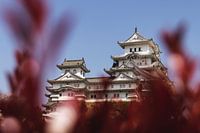 Château blanc, Himeji