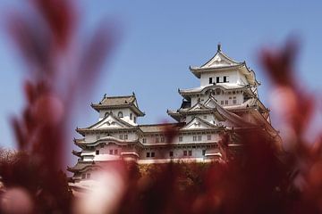 Château blanc, Himeji sur Erik de Witte