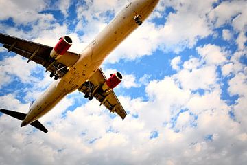 Landung Flugzeug von Niek Van Helden