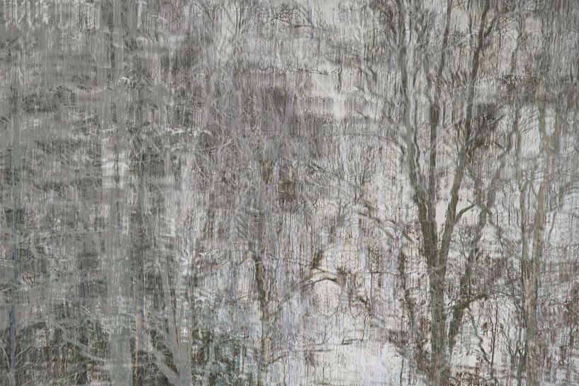 Reflectie van bomen in het water in de winter van Nanda Bussers