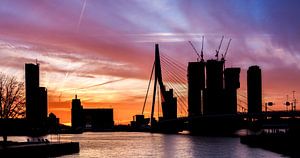 Schöne Rotterdam -