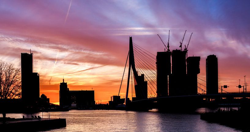 Silhouet Skyline Rotterdam van Prachtig Rotterdam