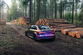 Audi RS3 Parked in the Forest – Nature and Automotive Wall Art by Sebastiaan van 't Hoog